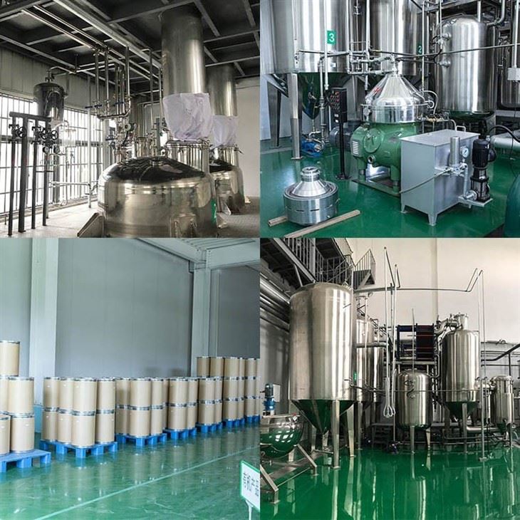 Organic Noni Powder factory